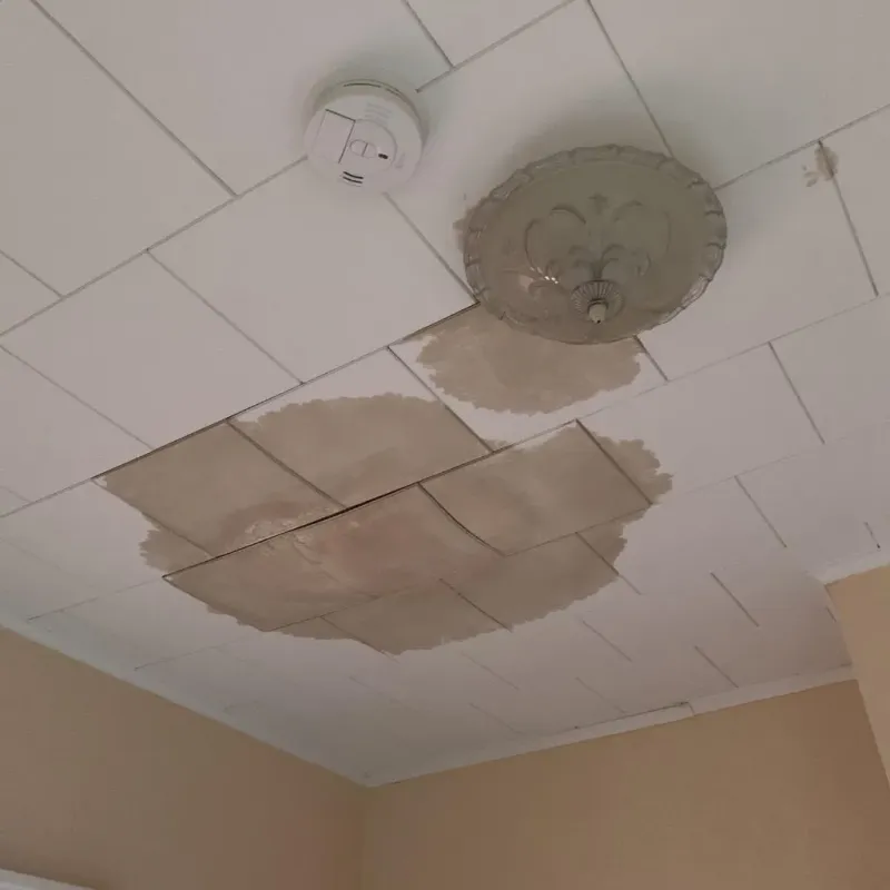 Ceiling Water Damage Repair in Newburgh, IN