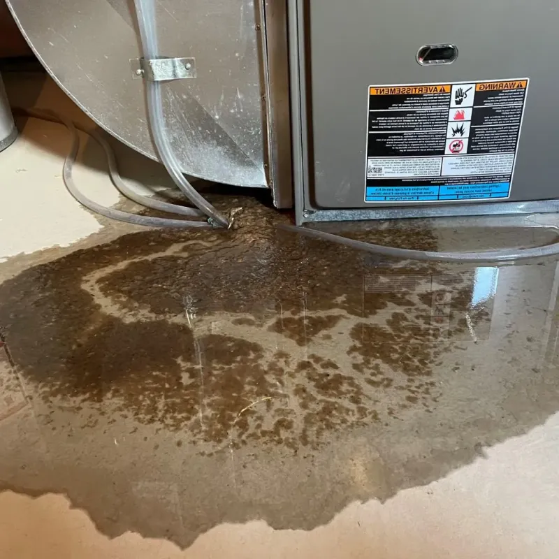 Pipe Burst and Leak Restoration in Newburgh, IN