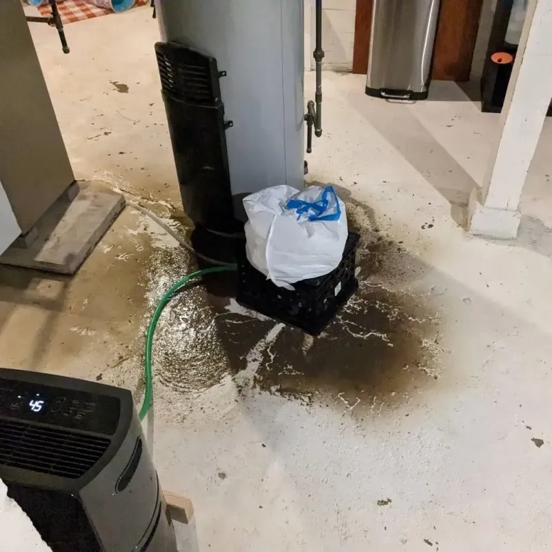 Sewage Backup Cleanup Service in Newburgh, IN